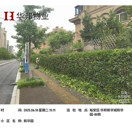 工程案例