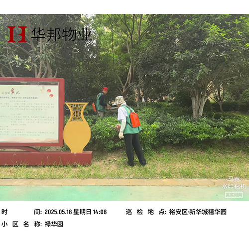 工程案例
