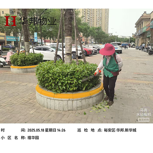 工程案例